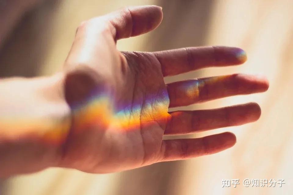 揭秘温感和触觉,人类与客观世界的再握手 - 知乎