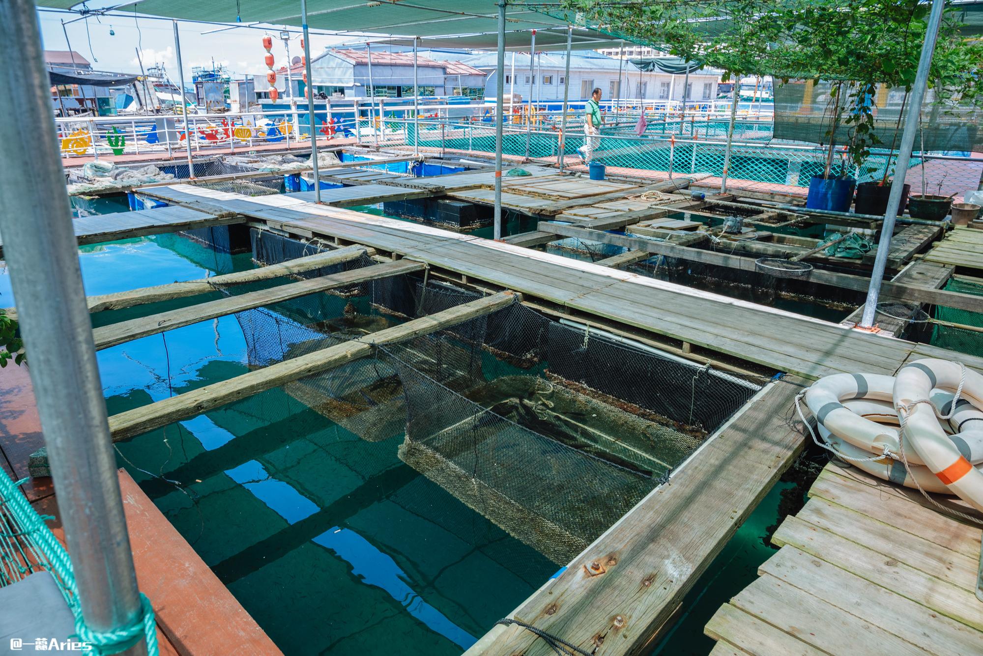 海南的海上吉普赛如此壮观的疍家鱼排2年后将不复存在