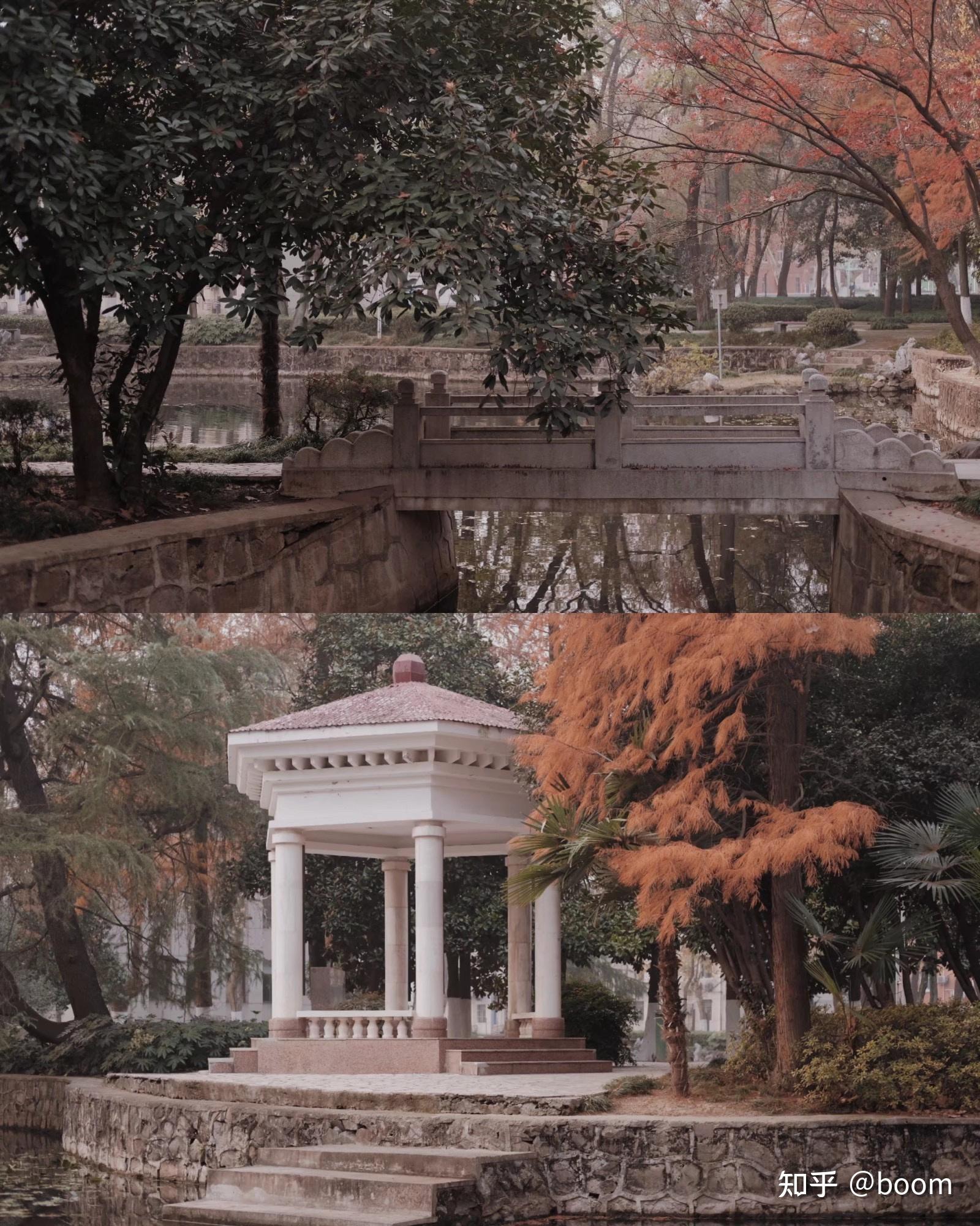 安徽大学中外合作(纽约石溪学院)怎么样?