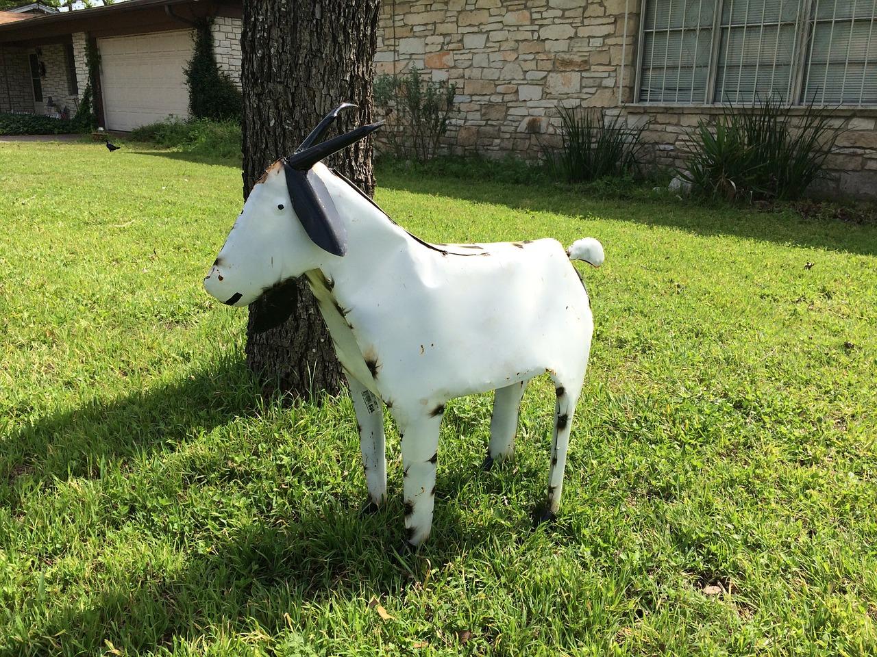 松树林下养鸡怎么养