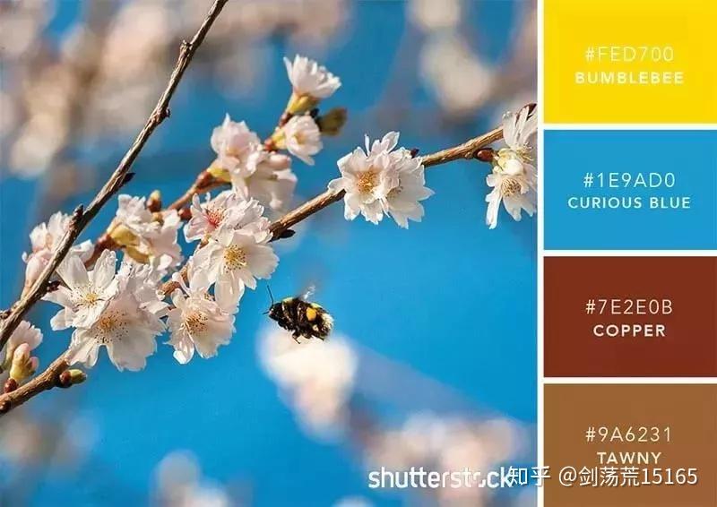 设计师不会配色怎么办没关系百种色卡让你重小白变大神