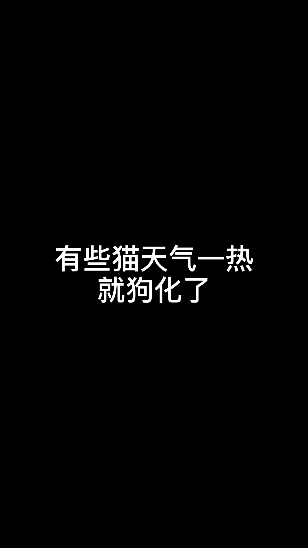 猫最近爱叫怎么回事 v2-92c19e66e0e95eee9148bff6835610bf.jpg