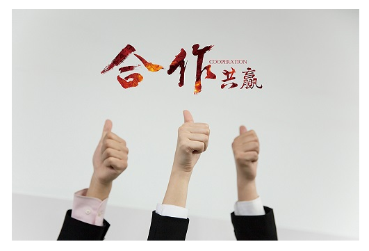 联合体投标应满足什么要求