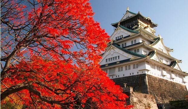 大坂高槻市樱堤公园 知乎