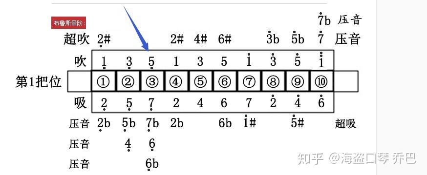 完新手买十孔口琴是买蓝调c调还是paddyc调