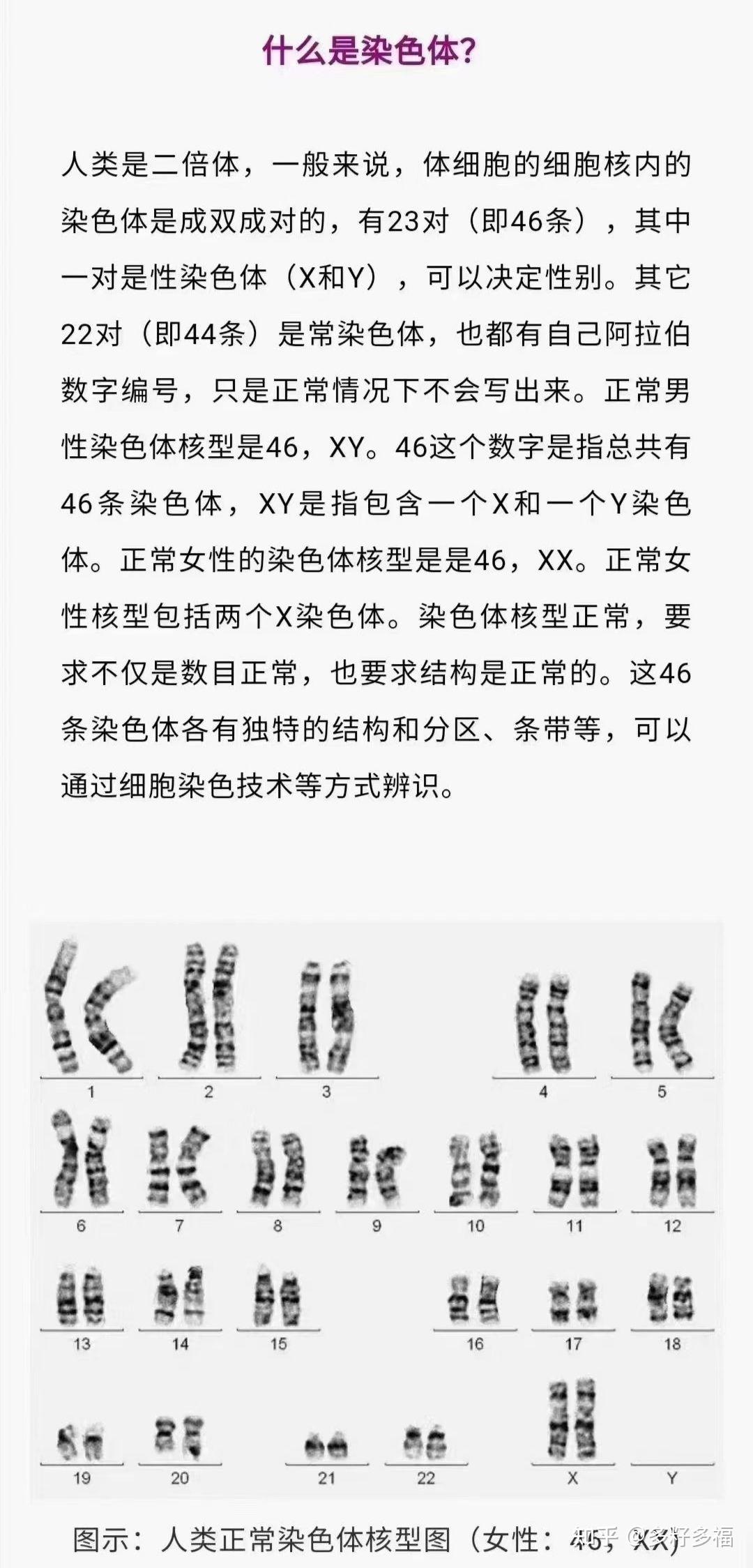 夫妻双方染色体都正常为什么胚胎异常呢