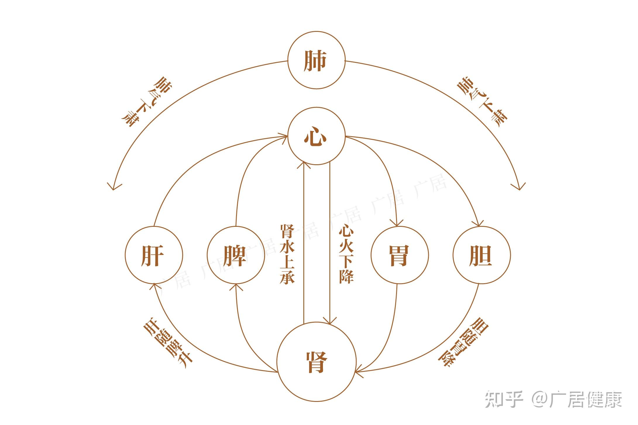 你失眠的原因找到了 - 知乎