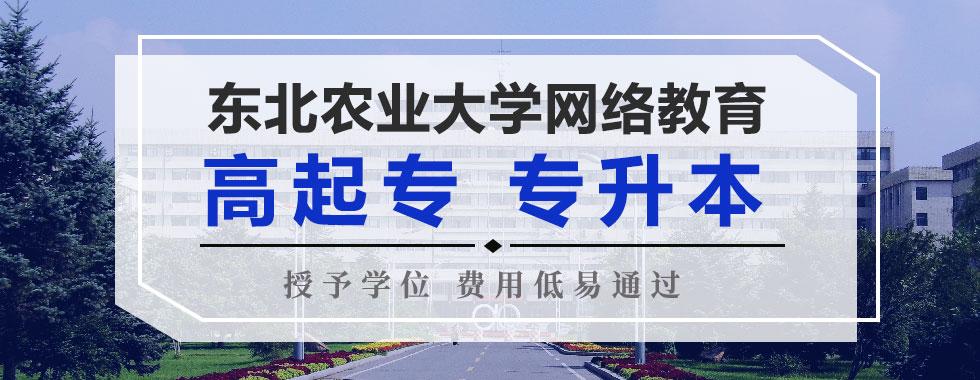 东北农业大学东营市2021年春季网络教育本科土地资源管理专业报名介绍