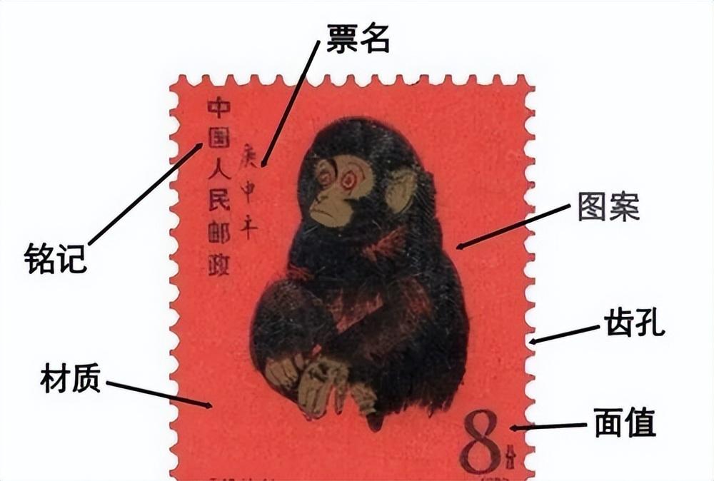 邮票设计要素图片