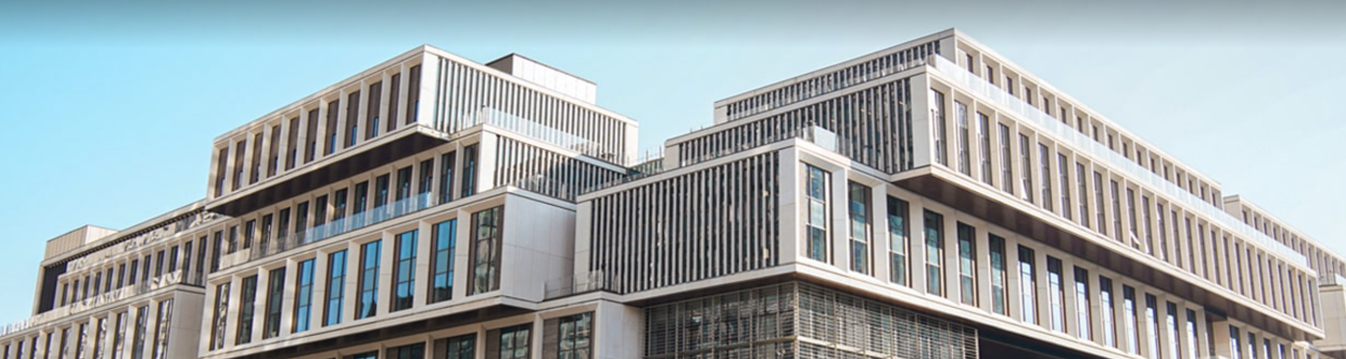  nyu shanghai 