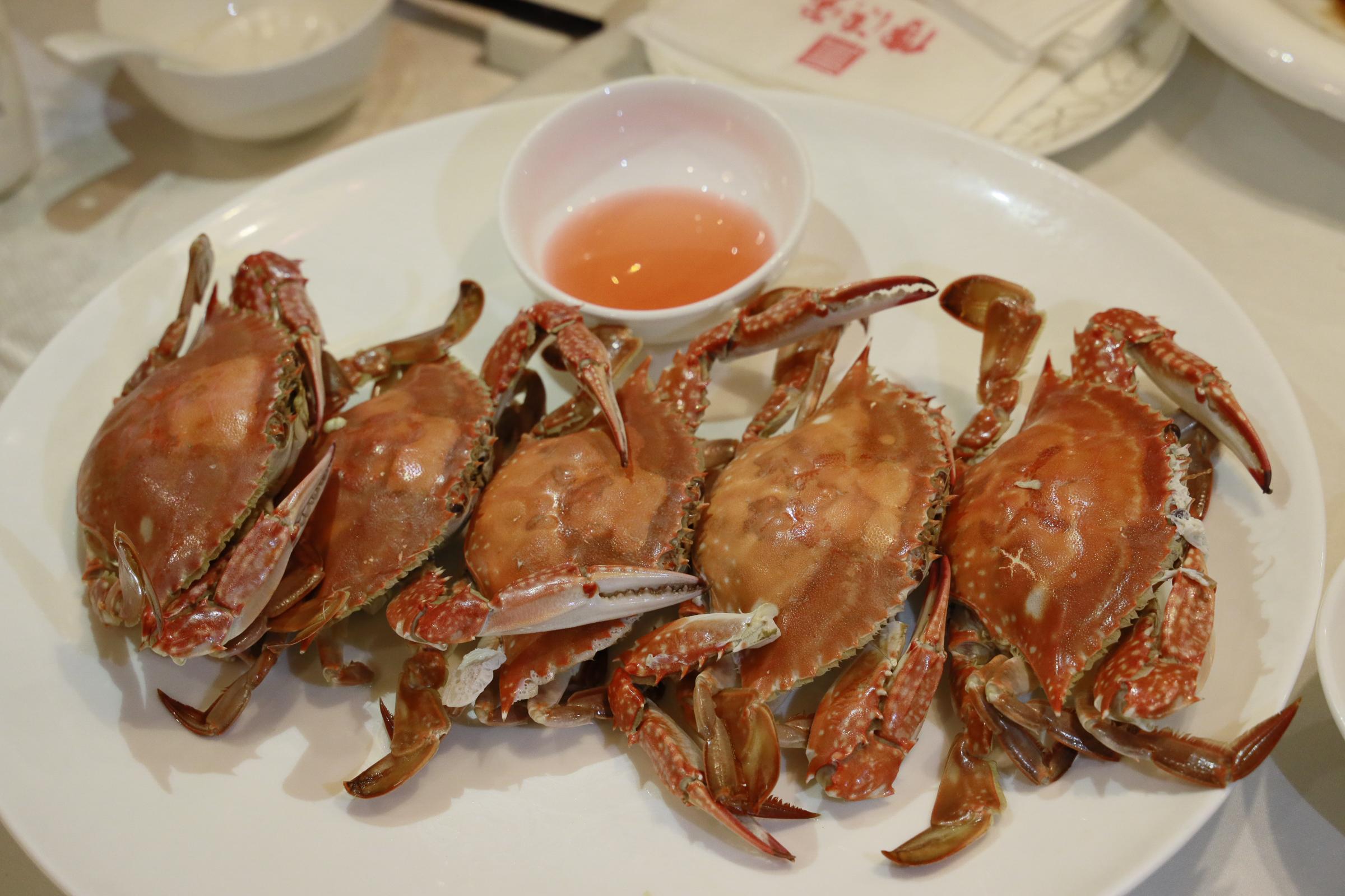 来青岛旅游，海鲜大餐应该这样吃，绝对不会有38元一只的大虾