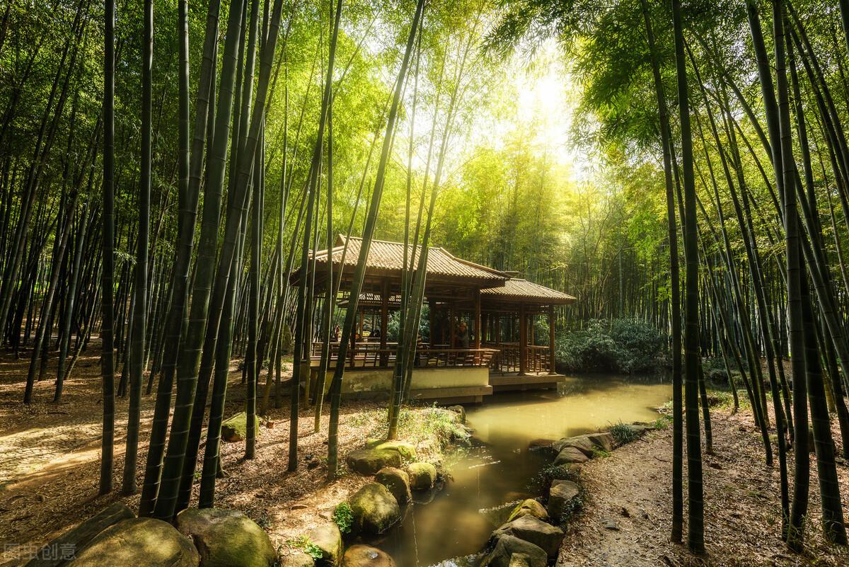 为什么茶馆,茶叶店里泡的茶更好喝?附赠泡茶小技巧