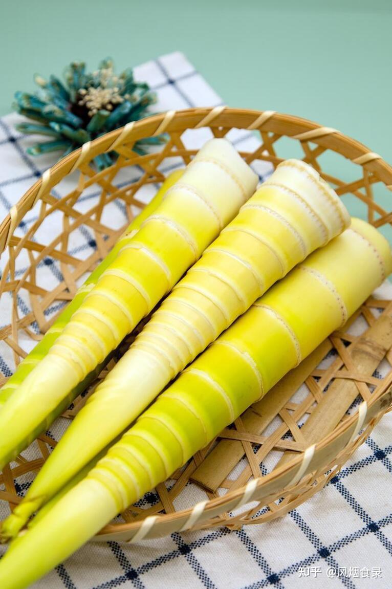全国有多少种“笋”?哪个品种最好吃?今天全读懂,来,涨知识了 - 知乎