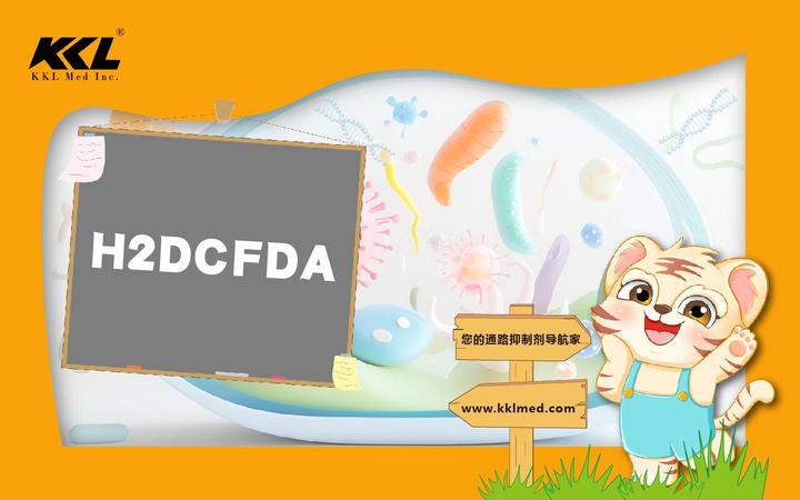 H2DCFDA(2',7'-Dichlorodihydrofluorescein Diacetate) - 知乎