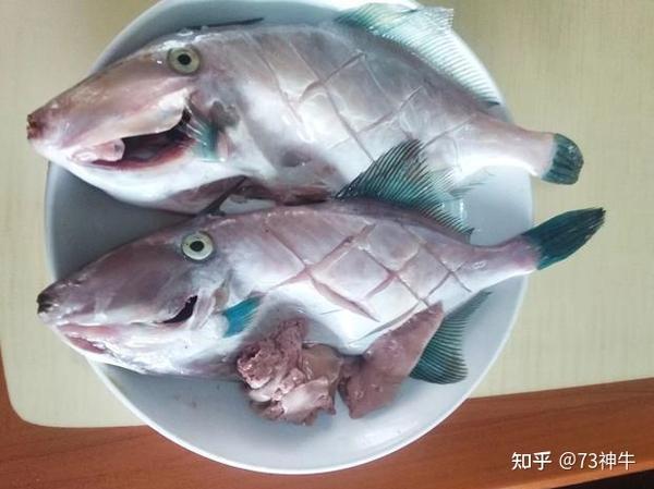 为什么80年代初市场上经常买的“剥皮鱼”，现在看不到了？ - 知乎