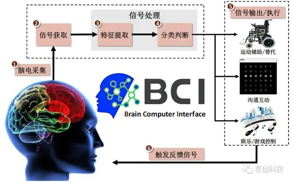 神经元