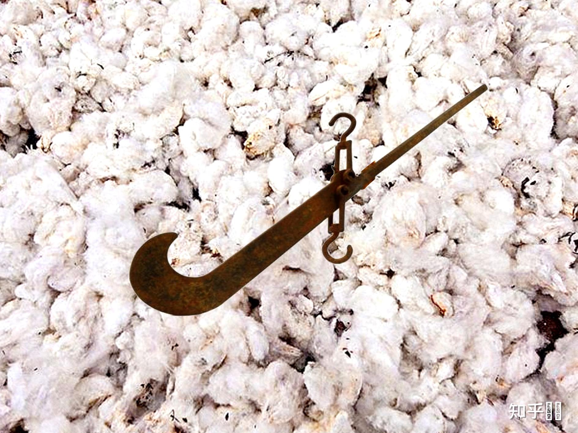 如何看待乌合麒麟讽刺bci的新作bloodcottoninitiative676767