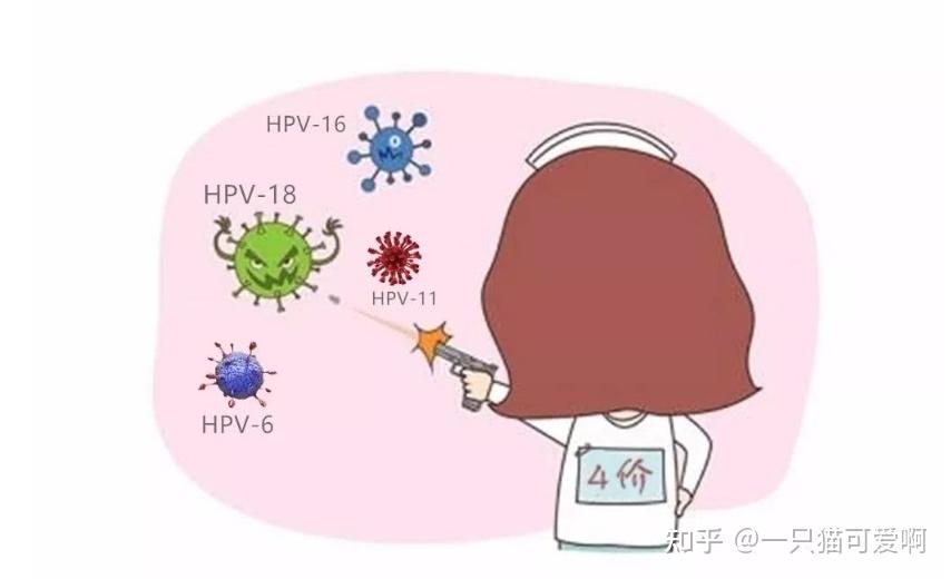 加速血液循环,并且能很好增强自身免疫力,对清除hpv