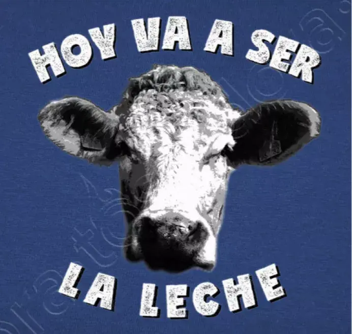 这只有西语母语者才会用leche的多种口语表达