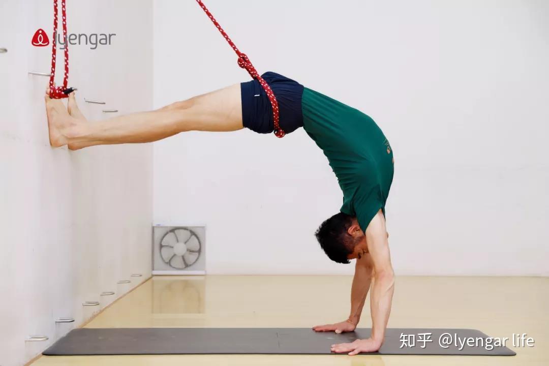 Life干货丨建波老师带你玩转墙绳,尝试一下飞的感觉 - 知乎