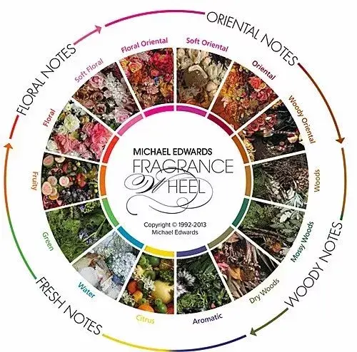 香调家族大汇总 以及适用场合解析 知乎