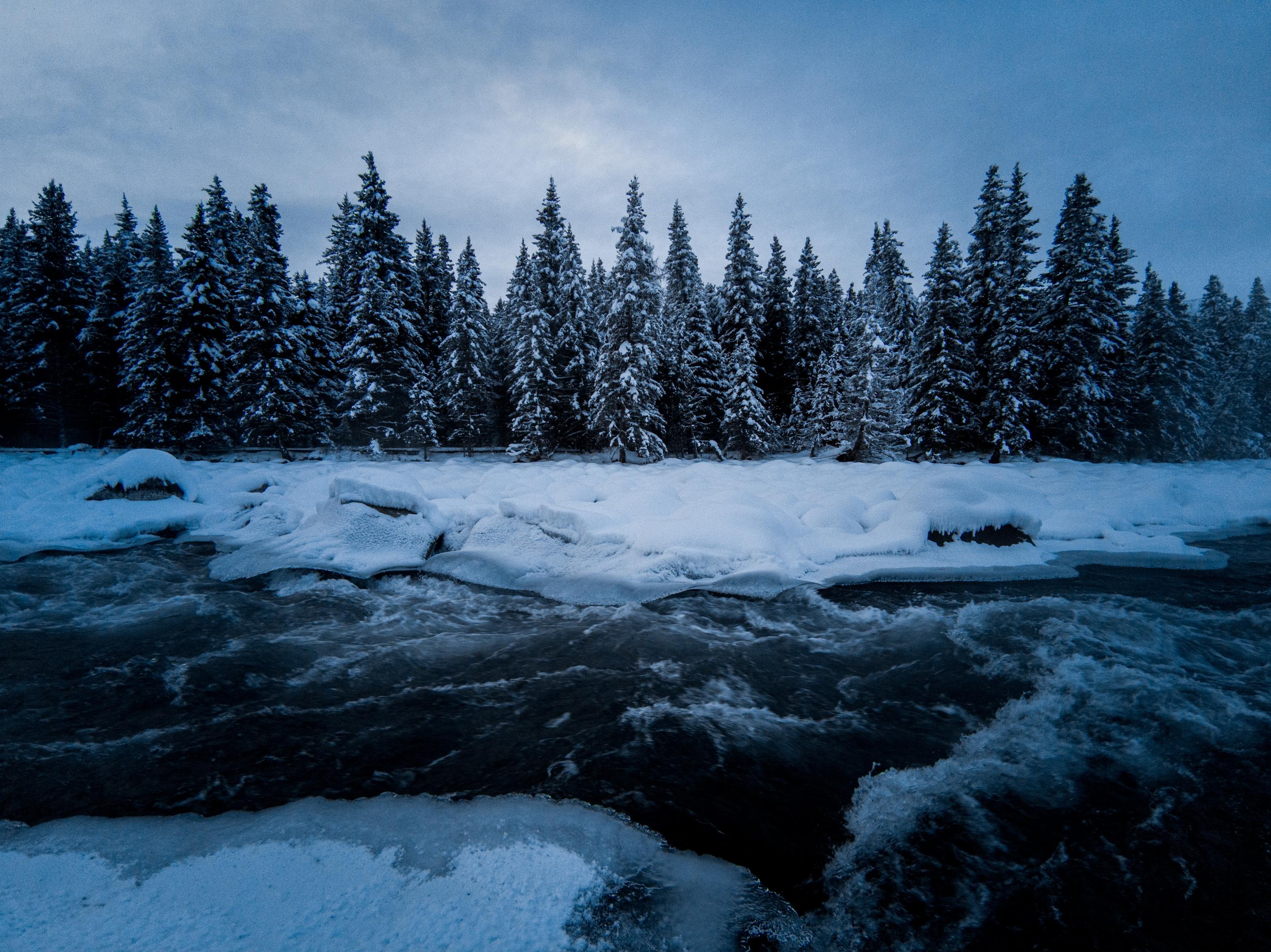 2020年你拍的最好看的一张照片是什么背后有什么故事