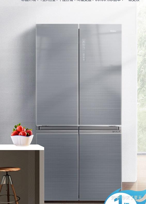推荐四,海尔 bcd-549wdgx