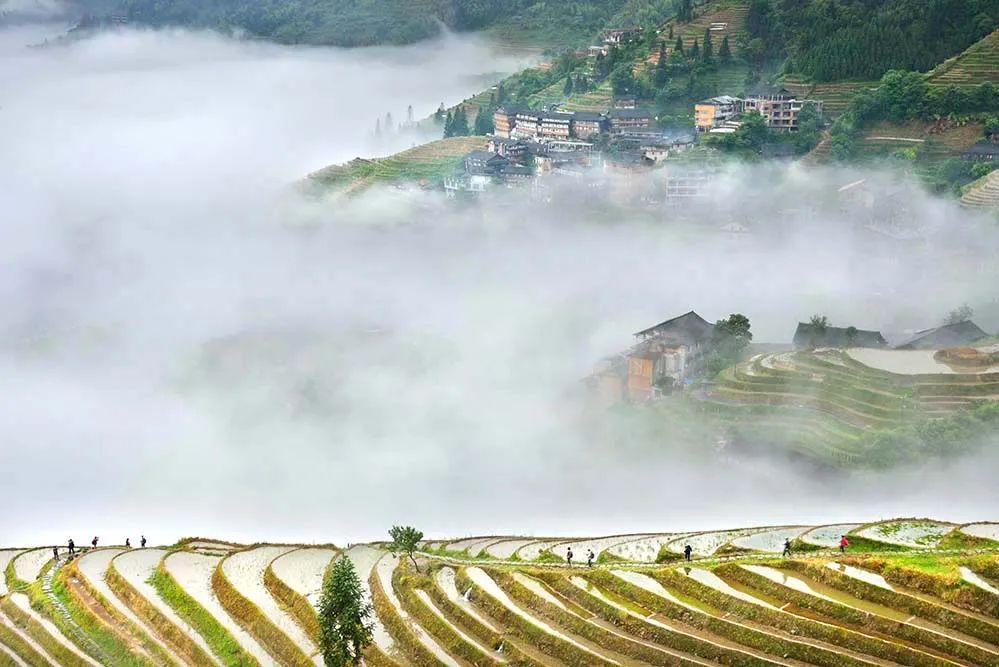 桂林田心村图片