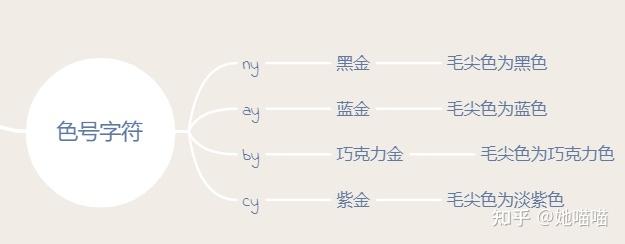 金渐层配种配色表图片