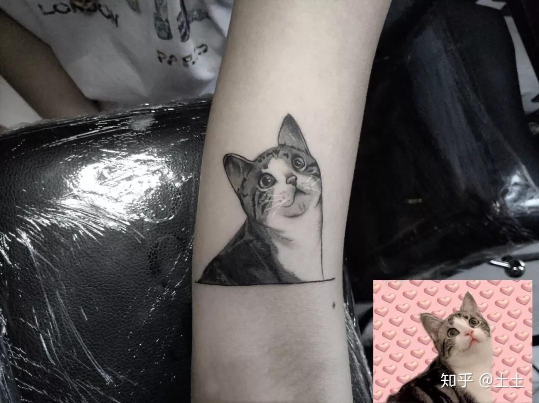 猫咪纹身_纹身大咖图库