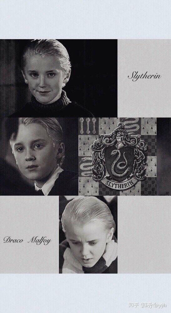 怎样才能嫁给dracomalfoy