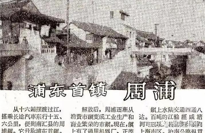 周浦,逆势而上的王者! - 知乎