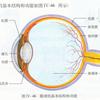 爱眼护眼 眼睛结构示意图 构造详解 知乎