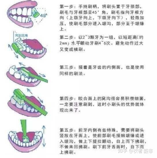 後來還是知友給我說的這個巴氏刷牙法我之前刷牙從來沒有想到什麼正確