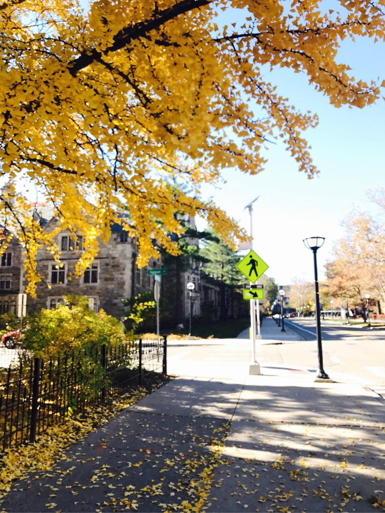 电影怦然心动拍摄地点在哪里