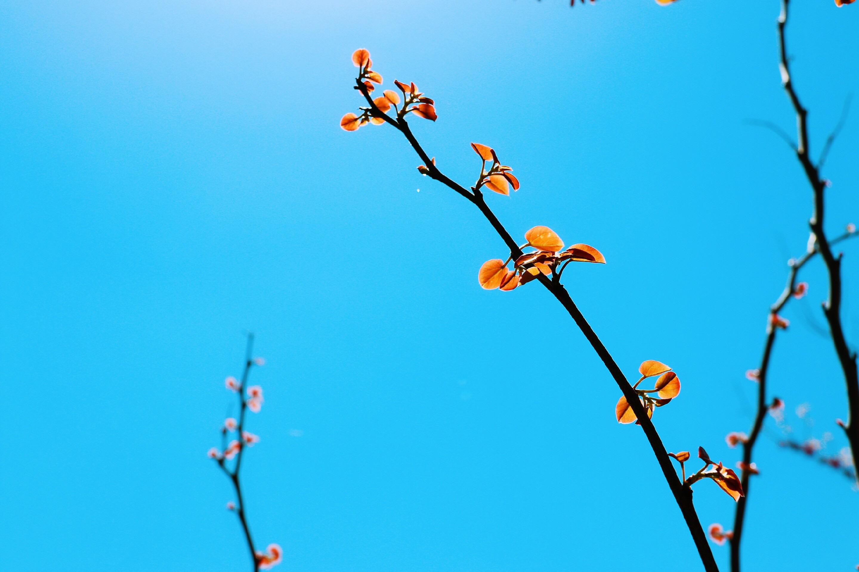 有没有一些一眼就惊艳的横屏手机壁纸? - 知乎