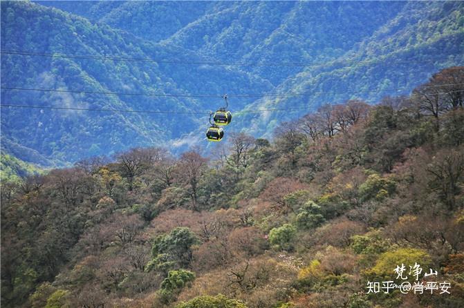 梵净山升仙之山,超越时空的净地,世间难得的一方净土-仙气飘飘的梵净山叫什么