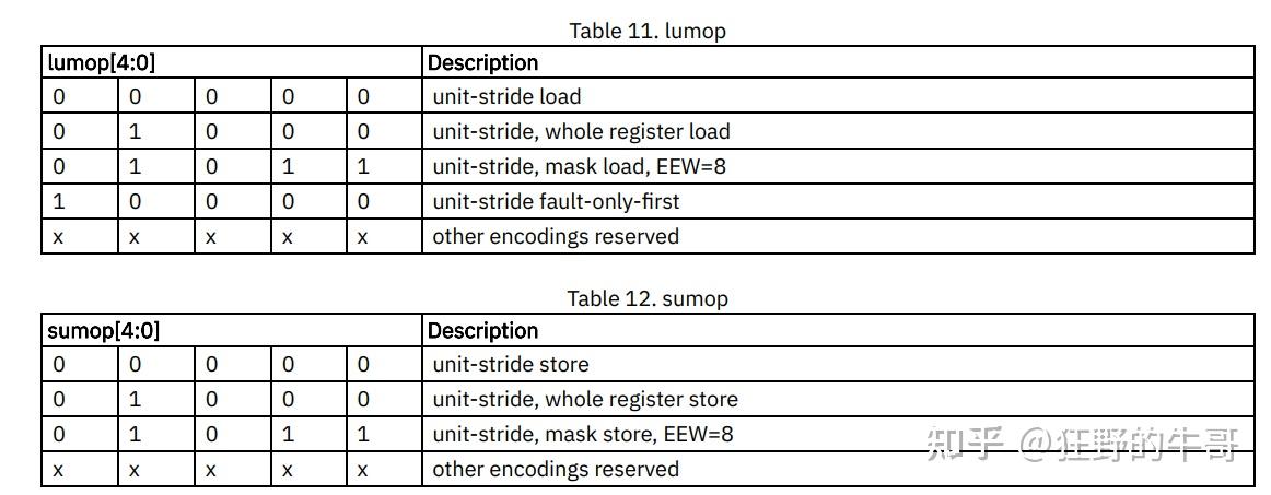 RISC-V Vector的load/store - 知乎