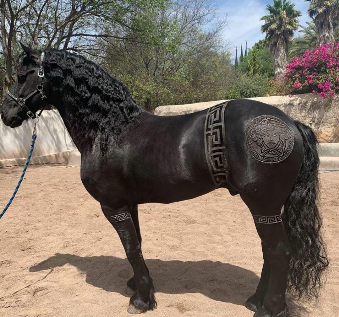 有没有什么特别搞笑的笑话