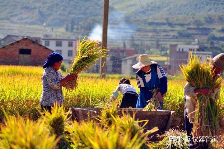秋收农忙季农残检测时