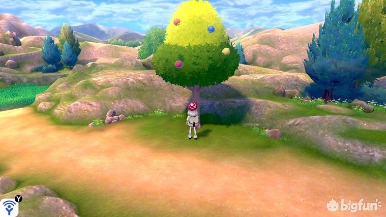 精灵宝可梦剑盾树果详细介绍