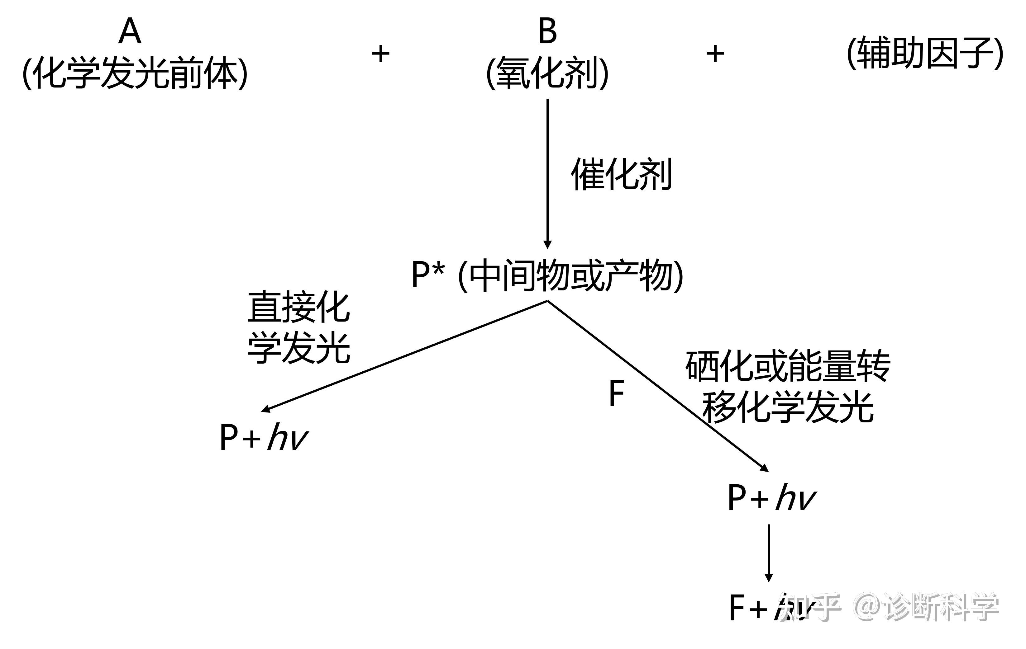 免疫 | 了解化学发光的机制和应用 - 知乎