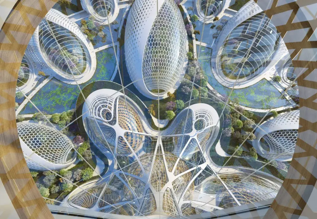 农业与生物多样性的未来