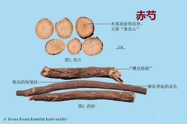 223种中药的鉴别图谱（彩图注释） - 知乎