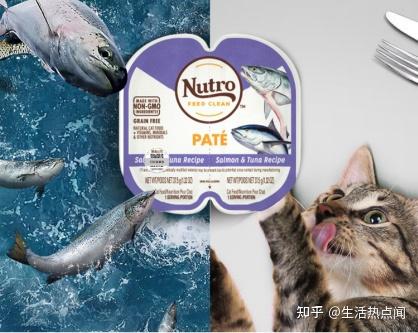 猫罐头哪个品牌的比较好？格吾安罐头性价比怎么样？ - 知乎