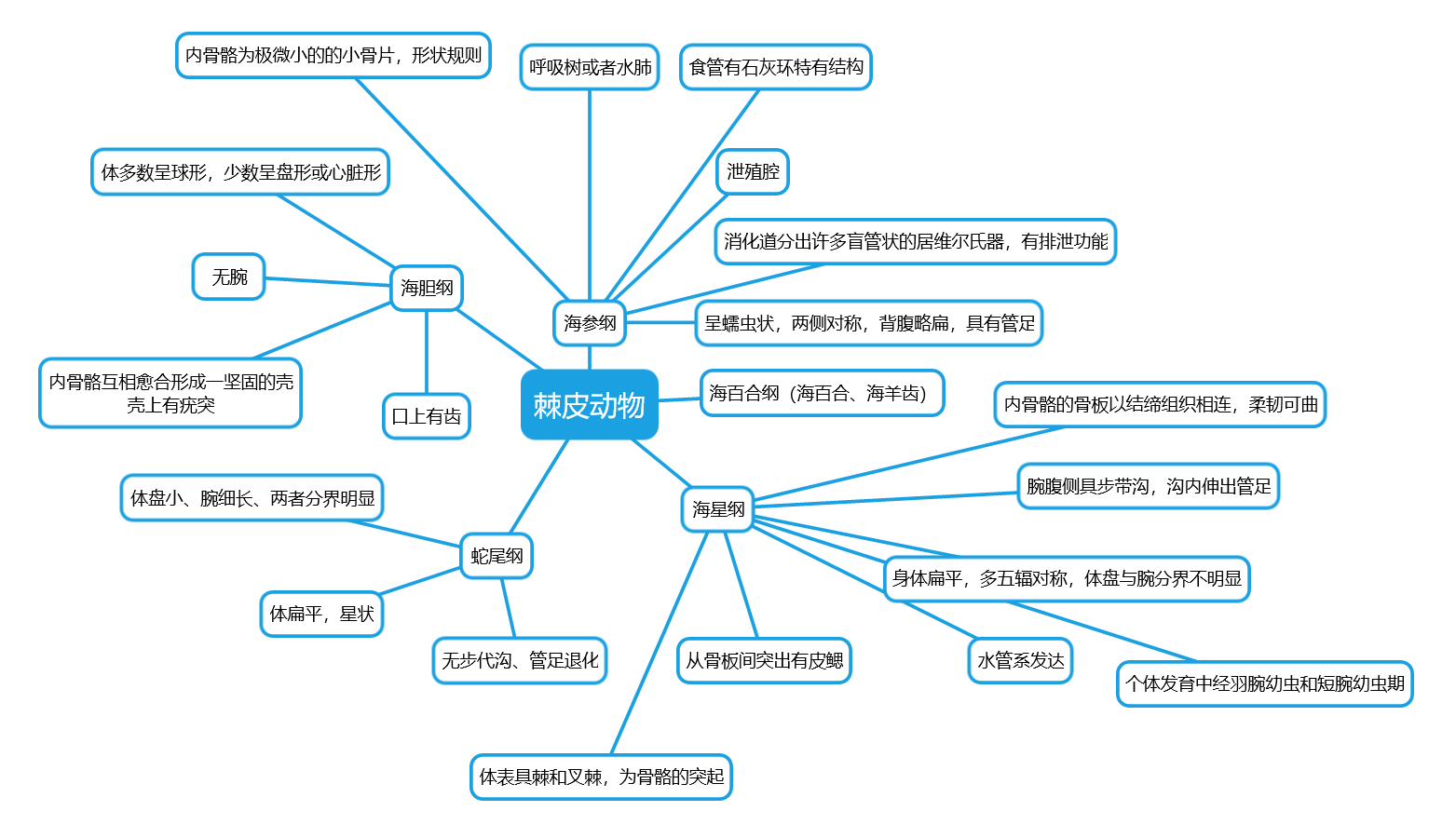 动物学期末总结(各大门类总结)