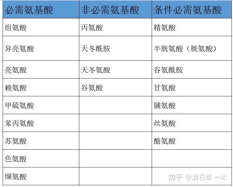 半必需氨基酸图片