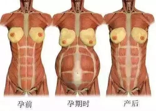 如何把肚子收紧 v2-93e0c7a3c35fcf8595b6d8d867ae16ae_1440w.jpg?source=172ae18b