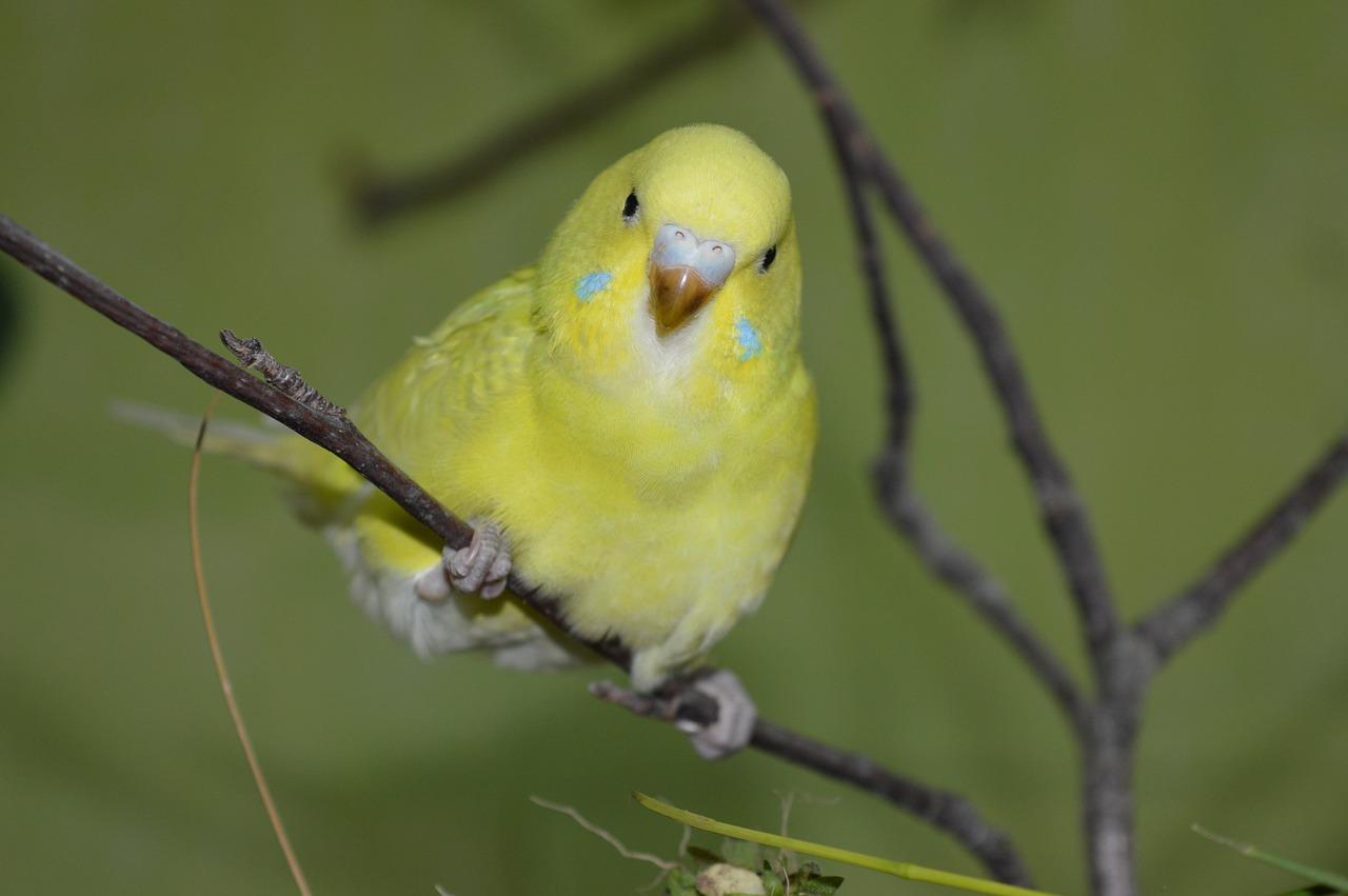 4. 护套线市场价