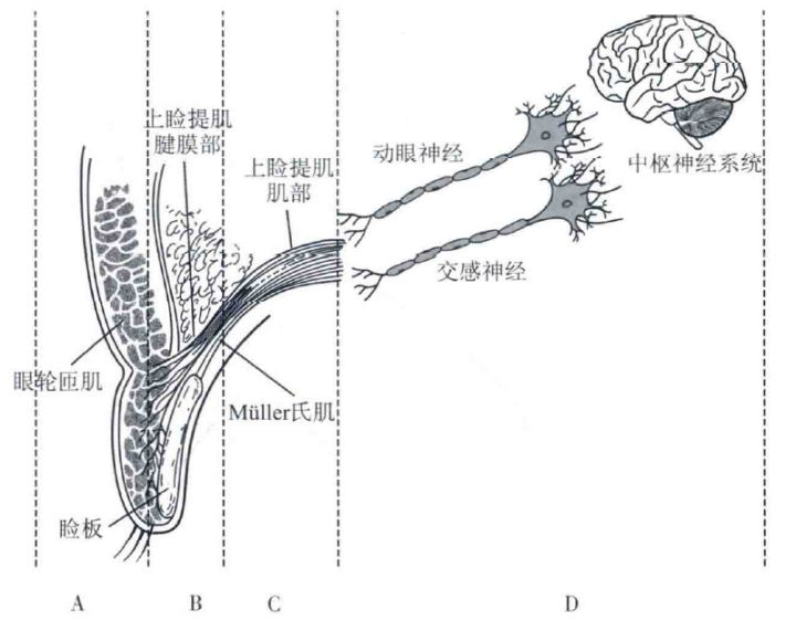 引寒出洞是什么原理_幸福是什么图片(2)